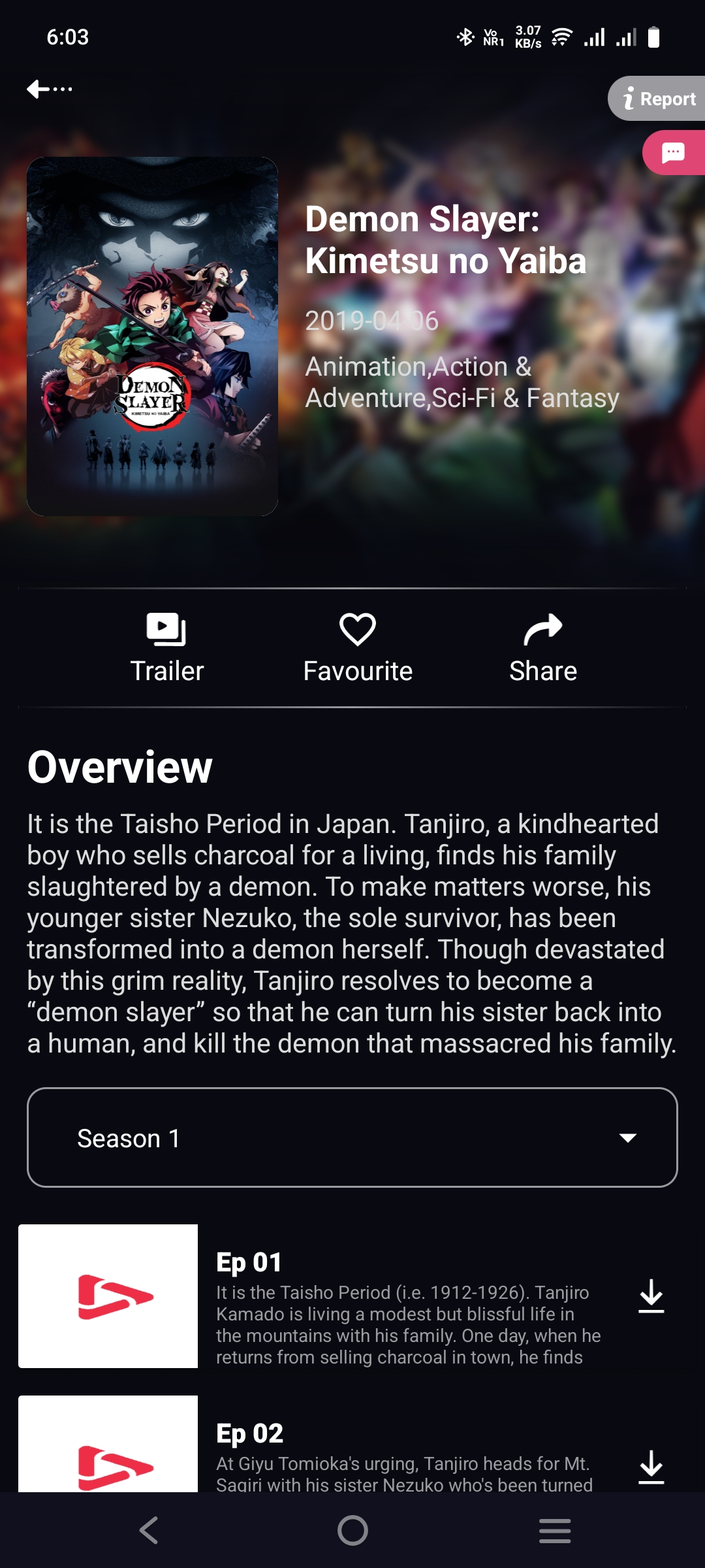 App Screen 3